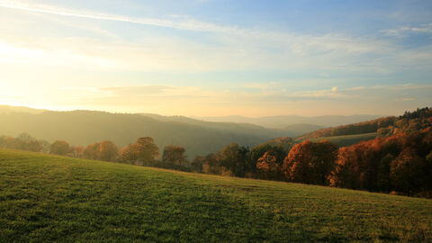 Hügel mit Wiesen und Wald im Odenwald