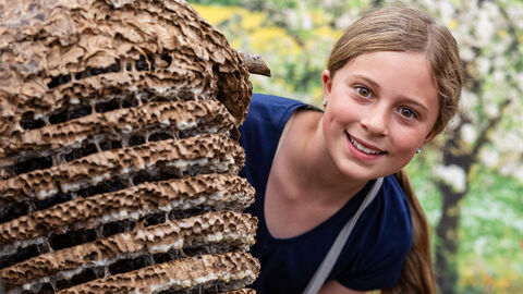 Impression vom Hessentag in Fritzlar